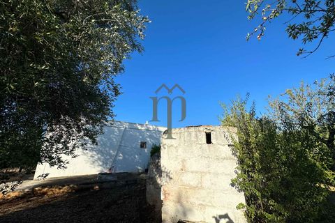 Ruïna a Ostuni, Brindisi, Ostuni - € 43.000 | Ref: Lamia Vite - foto 10